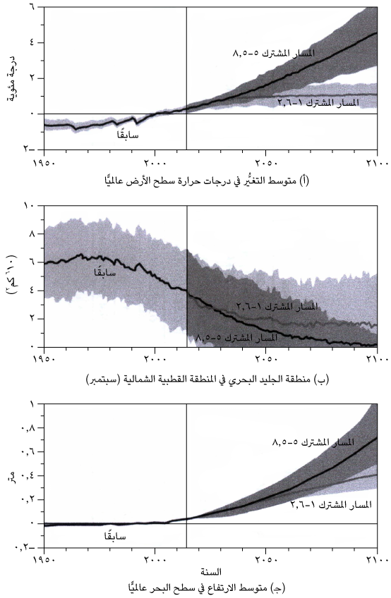 fig21