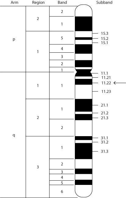 fig1