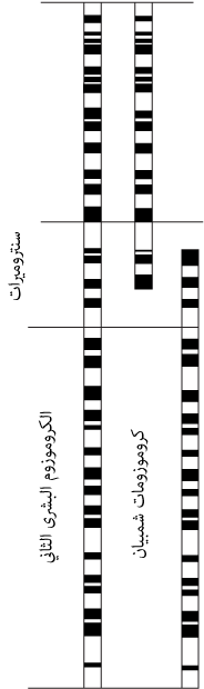 fig2
